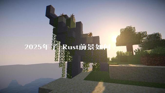 2025年了 Rust前景如何?
