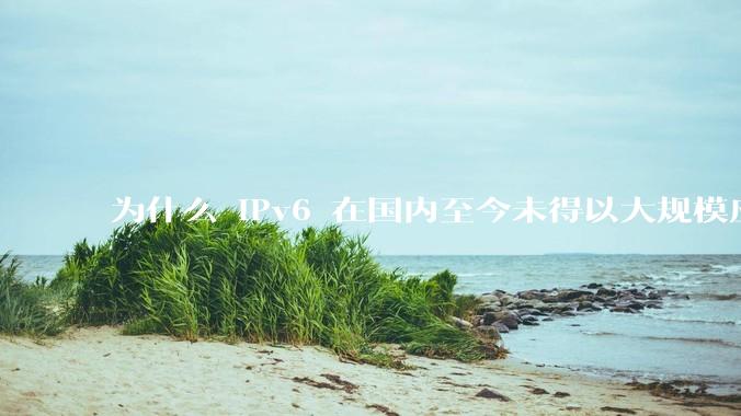 为什么 IPv6 在国内至今未得以大规模应用?