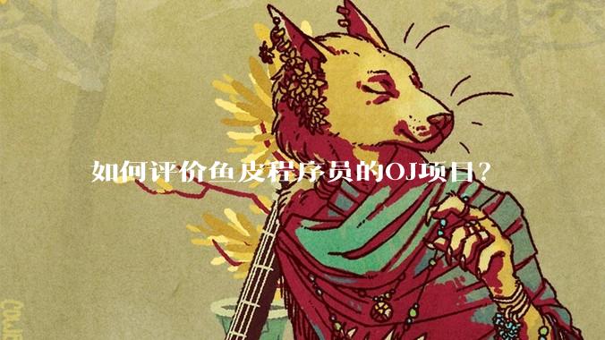 如何评价鱼皮程序员的OJ项目？