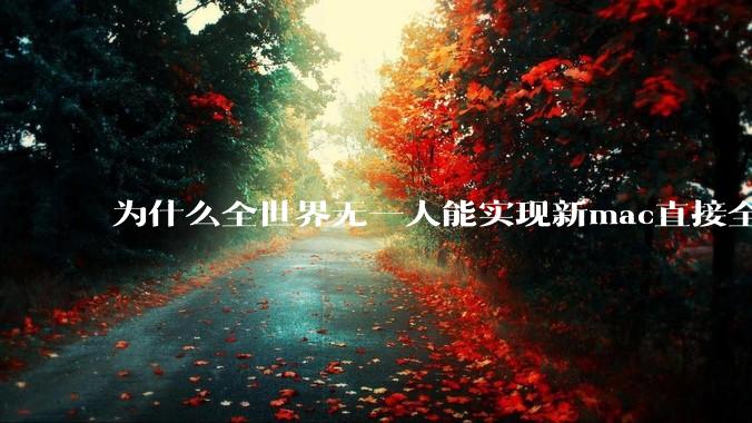 为什么全世界无一人能实现新mac直接全功能稳定装Win 11 arm，或PC直接装macOS arm？