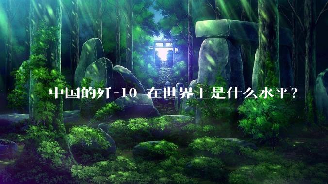 中国的歼-10 在世界上是什么水平？