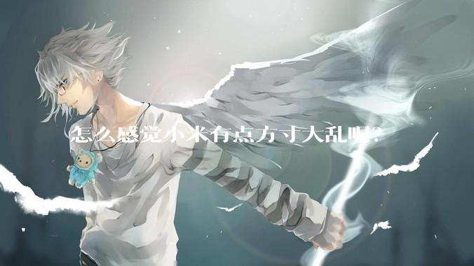 怎么感觉小米有点方寸大乱呢？