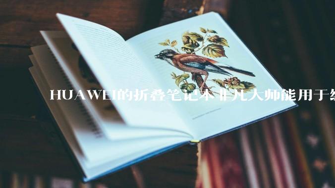 HUAWEI的折叠笔记本非凡大师能用于编程吗?