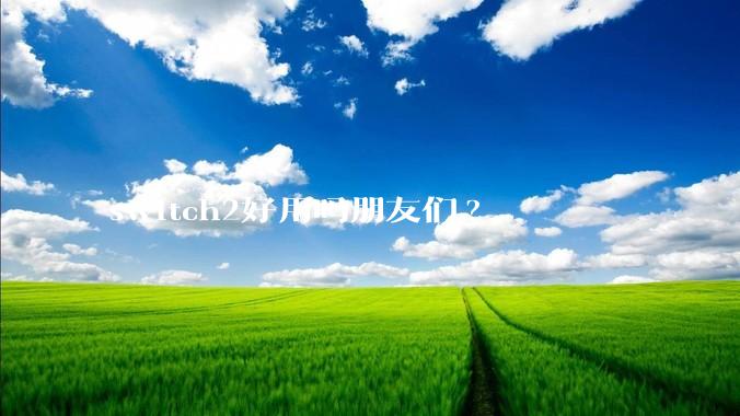switch2好用吗朋友们?