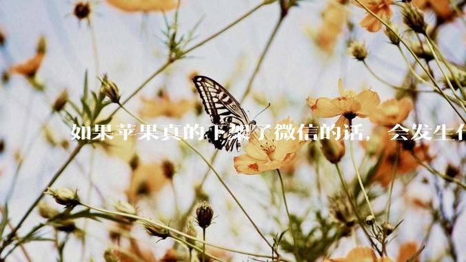 如果苹果真的下架了微信的话，会发生什么？