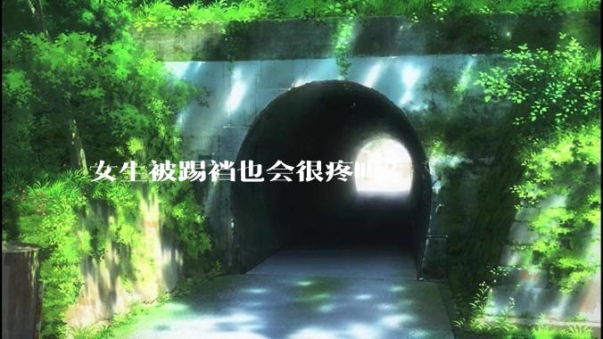 女生被踢裆也会很疼吗？