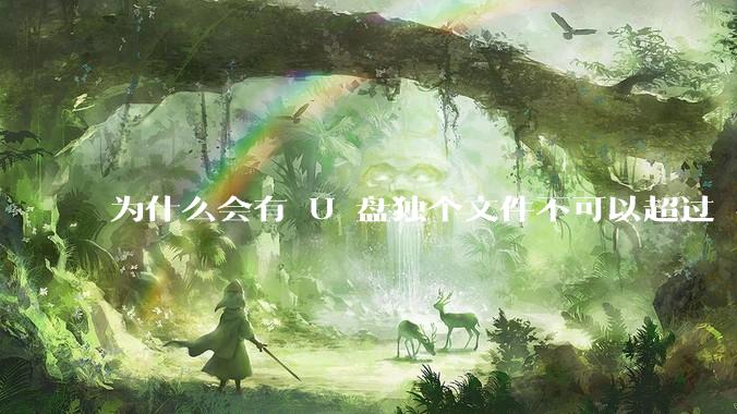 为什么会有 U 盘独个文件不可以超过 4GB 这种设定？