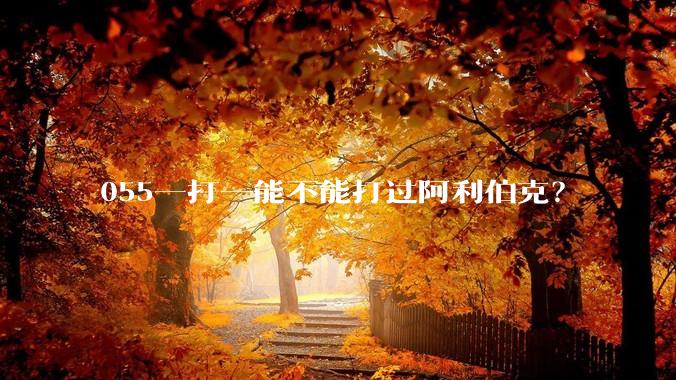 055一打一能不能打过阿利伯克？