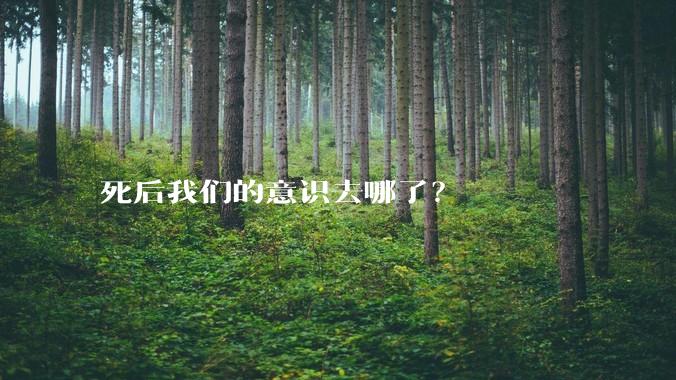 死后我们的意识去哪了？