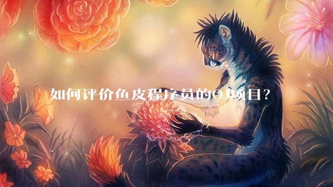 如何评价鱼皮程序员的OJ项目？