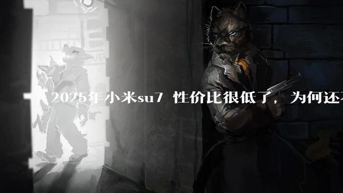 2025年小米su7 性价比很低了，为何还不更新改款？