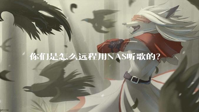 你们是怎么远程用NAS听歌的？