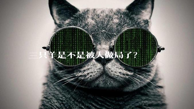 三只羊是不是被人做局了？
