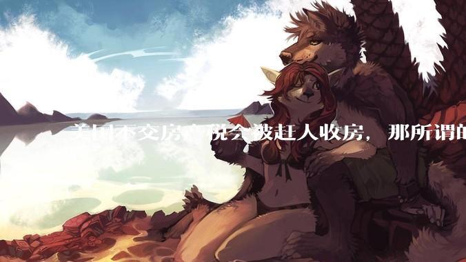 美国不交房产税会被赶人收房，那所谓的永久产权还有什么意义？