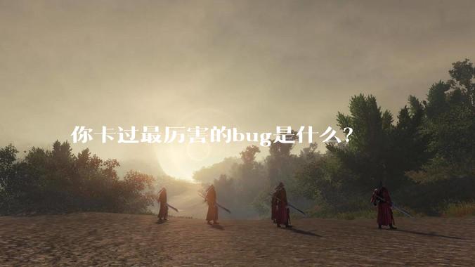 你卡过最厉害的bug是什么？