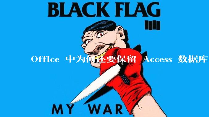 Office 中为何还要保留 Access 数据库?
