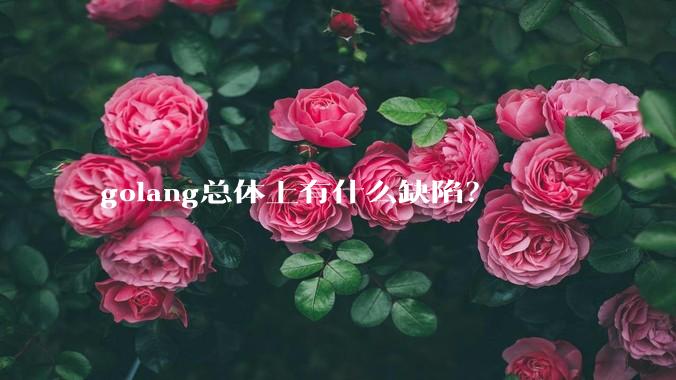 golang总体上有什么缺陷？