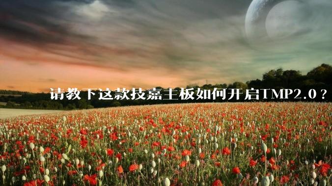 请教下这款技嘉主板如何开启TMP2.0?