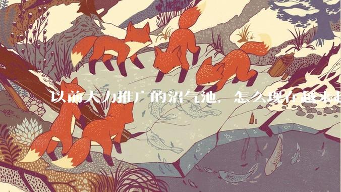 以前大力推广的沼气池，怎么现在越来越少了？