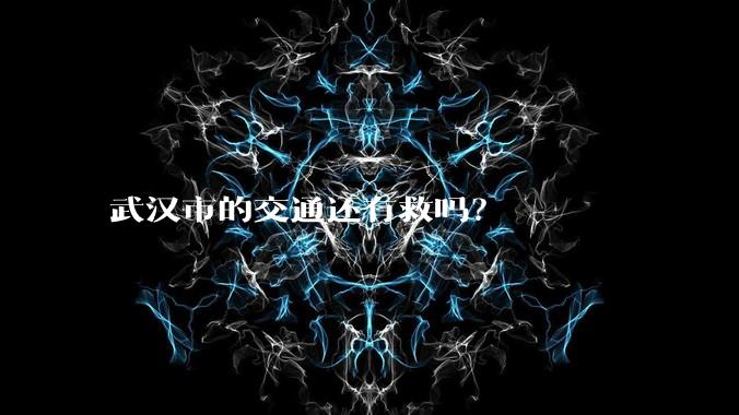 武汉市的交通还有救吗？