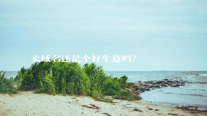 卖域名还是个好生意吗？