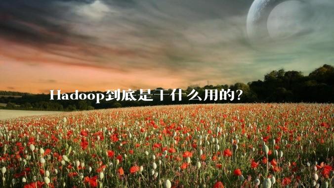 Hadoop到底是干什么用的？