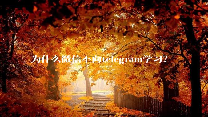 为什么微信不向telegram学习？