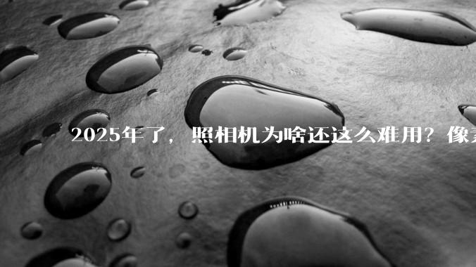 2025年了，照相机为啥还这么难用？像素低还很贵？