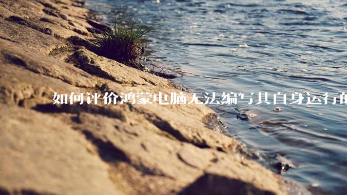 如何评价鸿蒙电脑无法编写其自身运行的程序？